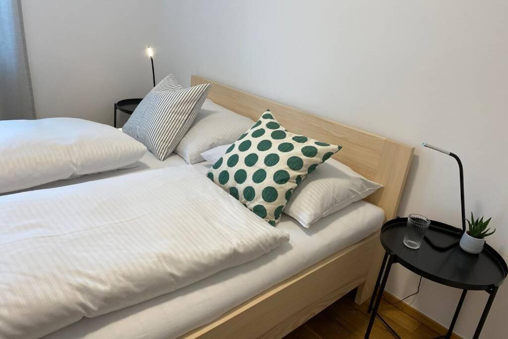 Wohnung 2 In Zentraler Lage Im Rheintal 거치즈 외부 사진